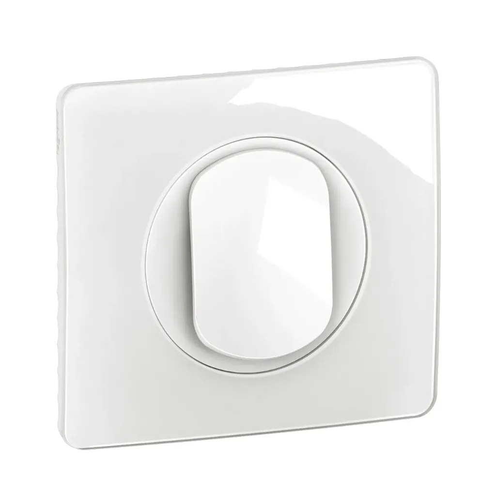 [INTERRUPTEUR S.A CELIANE] Interrupteur ou va-et-vient 10A Céliane avec plaque